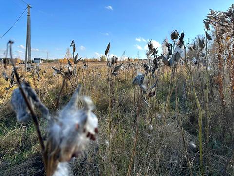 участок по адресу 
