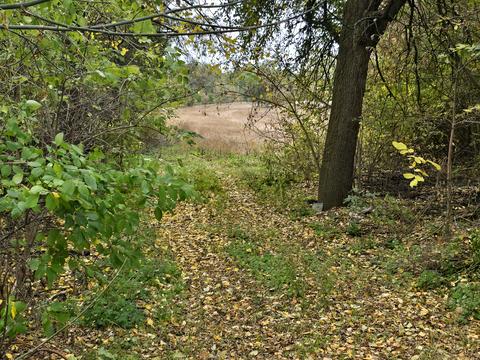 дом по адресу Центральна