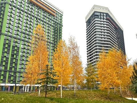 квартира за адресою Причальна вул., 10