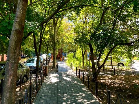 квартира по адресу Добровольцев ул. (Маршала Говорова), 3а