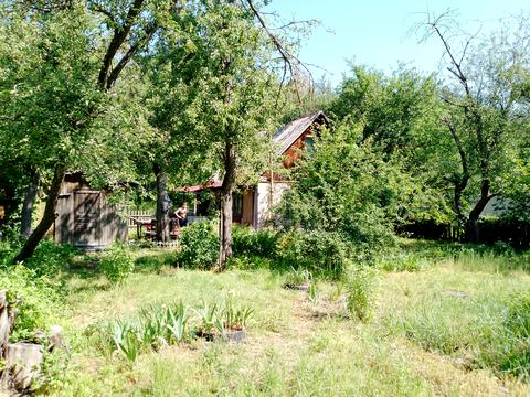 ділянка за адресою Синьоозерна вул.