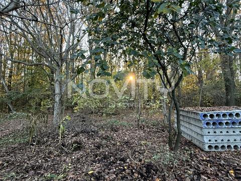 ділянка за адресою Одеса, Дениса Максишка вул. (Марії Демченко), 16