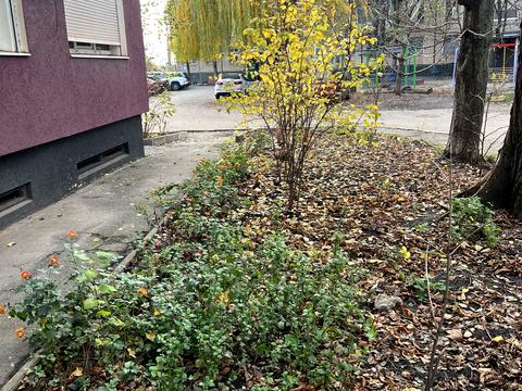 квартира за адресою Кривий Ріг, Володимира Бизова вул. (Якіра), 1