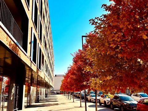 квартира за адресою Набережно-Рибальська дорога вул., 5