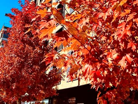 квартира за адресою Набережно-Рибальська дорога вул., 5