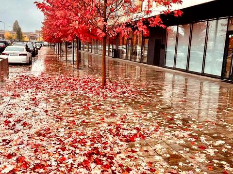 квартира за адресою Набережно-Рибальська дорога вул., 5