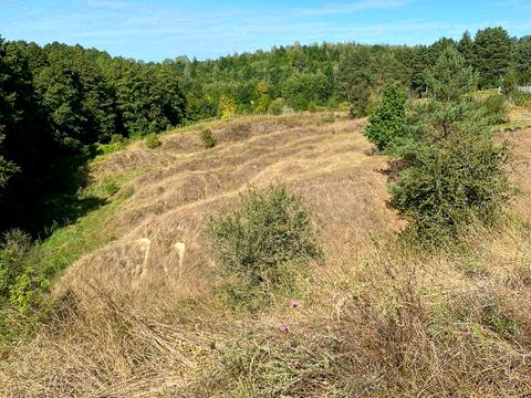 участок по адресу 