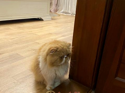 квартира за адресою Одеса, 28 бригади вул., 31