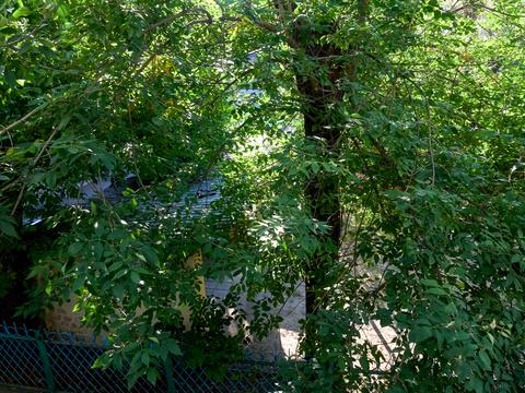 квартира по адресу Братская ул., 4