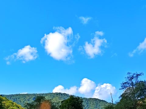 ділянка за адресою Головна