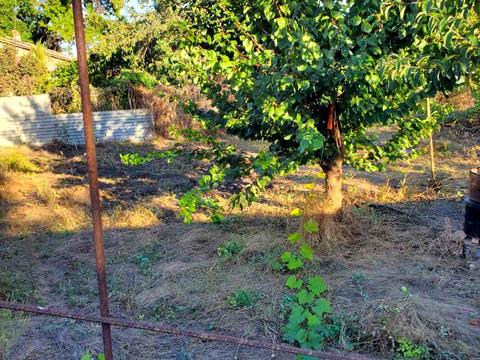 будинок за адресою Мічуріна пл., 30