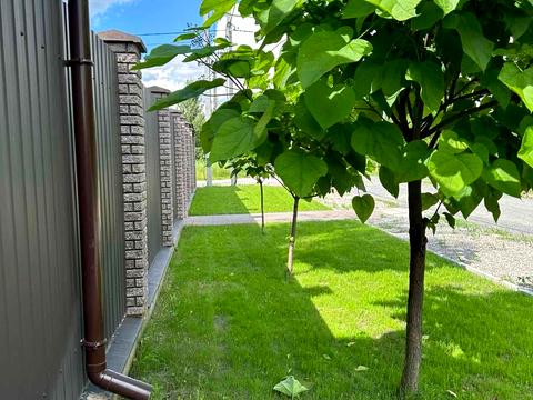 дом по адресу Вишнева, 35