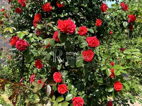 дом по адресу Лесная ул.