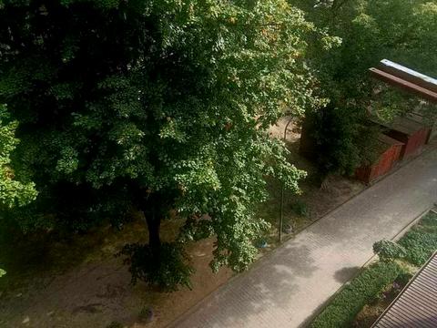 квартира за адресою Кульпарківська вул. (Кульпарківська), 24