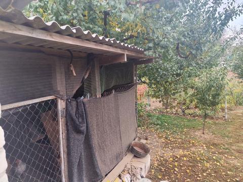 будинок за адресою Вільнянськ, Преображенська