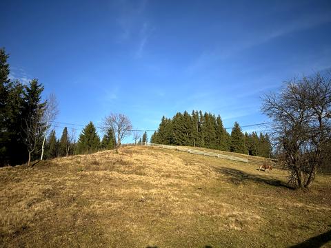 ділянка за адресою уроч. Вишні