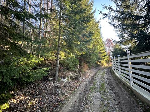 ділянка за адресою уроч. Вишні