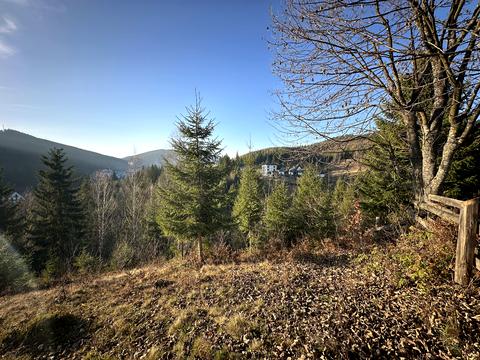 ділянка за адресою уроч. Вишні