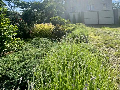 будинок за адресою Дмитра Павличка вул., 4