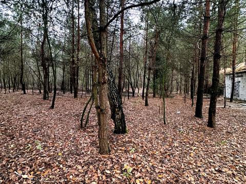 будинок за адресою СТ Рожівське, 1