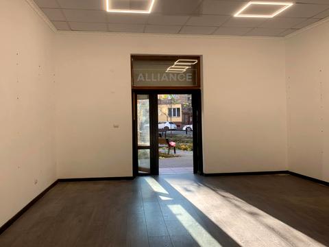 комерційна за адресою Бельведерська вул., 8