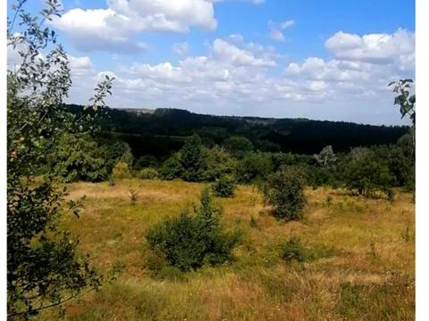 участок по адресу 