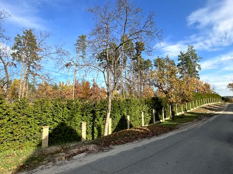 будинок за адресою 12 лінія