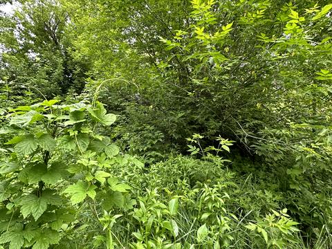 участок по адресу Соборная ул.