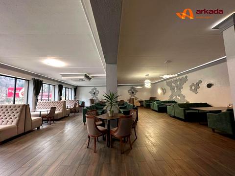 коммерческая по адресу с. Микуличин, Грушевского ул., 144 