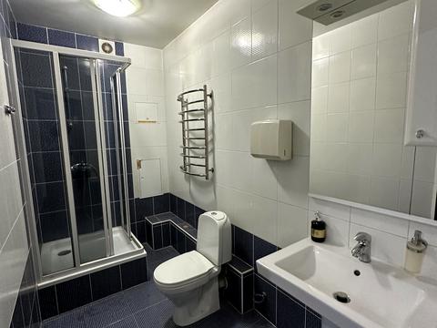 комерційна за адресою Раїси Окіпної вул., 4-А