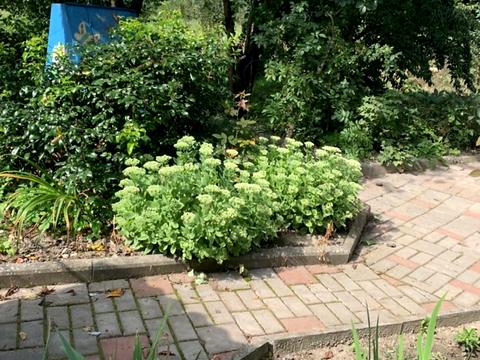 будинок за адресою Космонавтів, 5