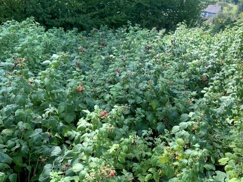 будинок за адресою Космонавтів, 5