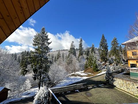 комерційна за адресою Січових стрільців, 17