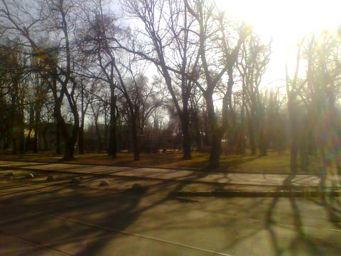 квартира по адресу Алексеевская пл., 9