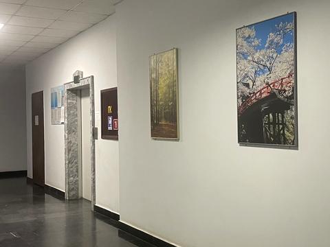 квартира по адресу Французский бульв., 49А