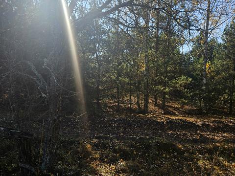 ділянка за адресою Польва