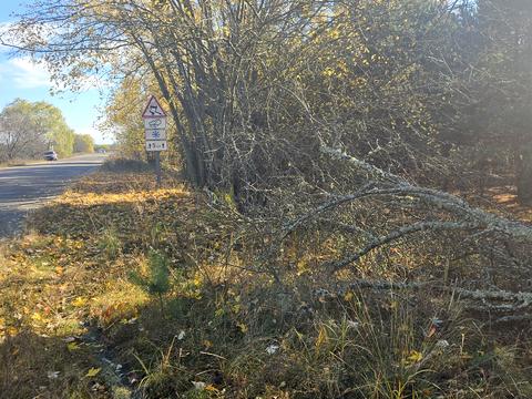 ділянка за адресою Польва