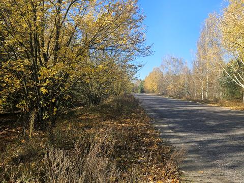 ділянка за адресою Польва