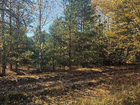 ділянка за адресою Польва