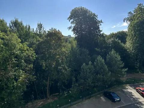 квартира по адресу Александра Олеся ул., 25д