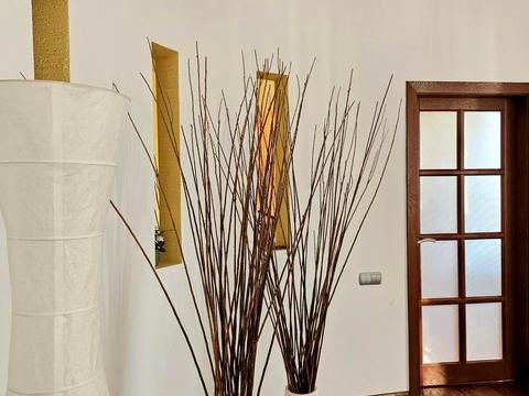 дом по адресу Шевченка