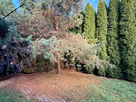 дом по адресу Шевченка