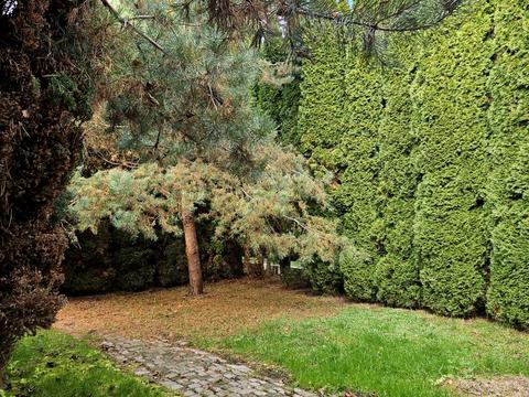 дом по адресу Шевченка