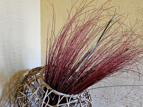 дом по адресу Шевченка