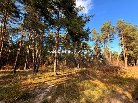 будинок за адресою Ярослава Мудрого