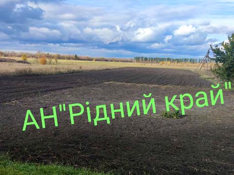 дом по адресу Центральна