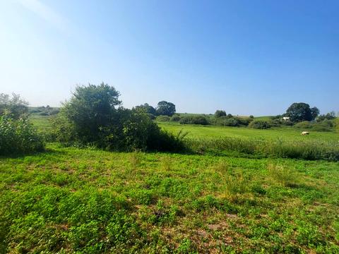 будинок за адресою Нова вул.