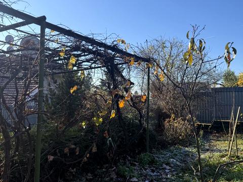 дом по адресу Высокая ул., 13