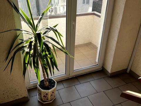 квартира по адресу Университетская ул., 2-Ю