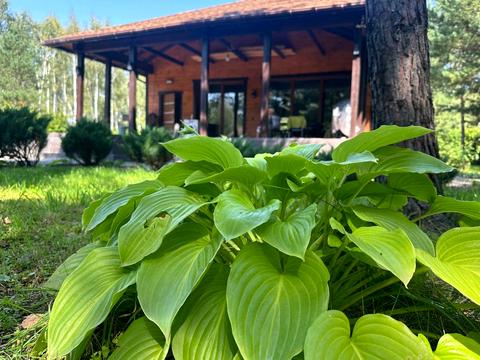 будинок за адресою вулиця партизанська